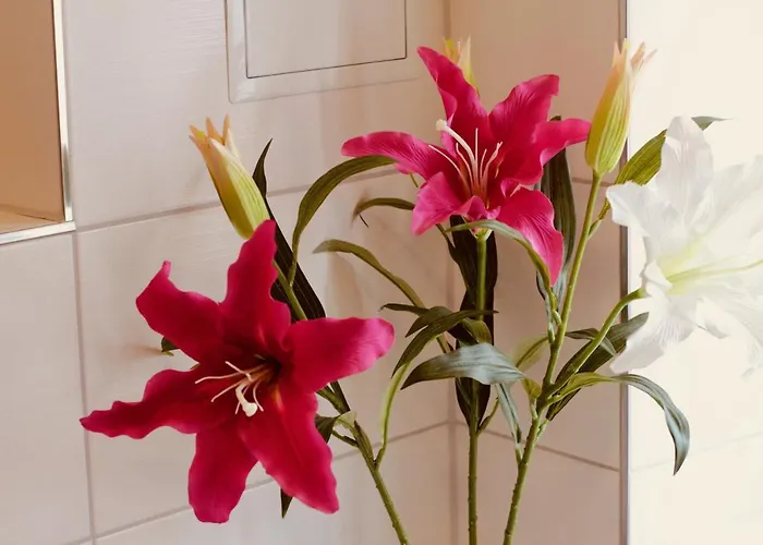 Apartment Fewozauber - Domspatz, 50qm, Top-lage, Style, Dachterrasse, Business Schwerin (Mecklenburg-Vorpommern)