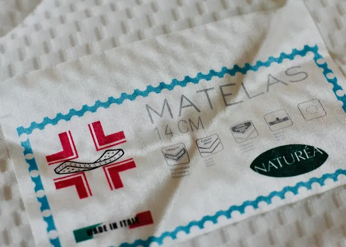 Apartment Fewozauber - Domspatz, 50qm, Top-lage, Style, Dachterrasse, Business